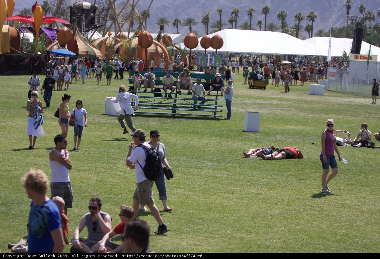 Coachella Crowd Enjoying Nature