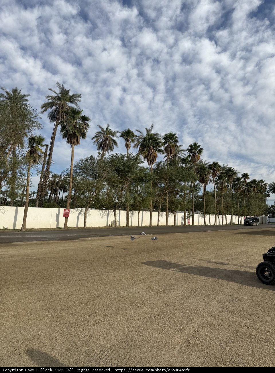 Tranquil Afternoon at Empire Polo Club