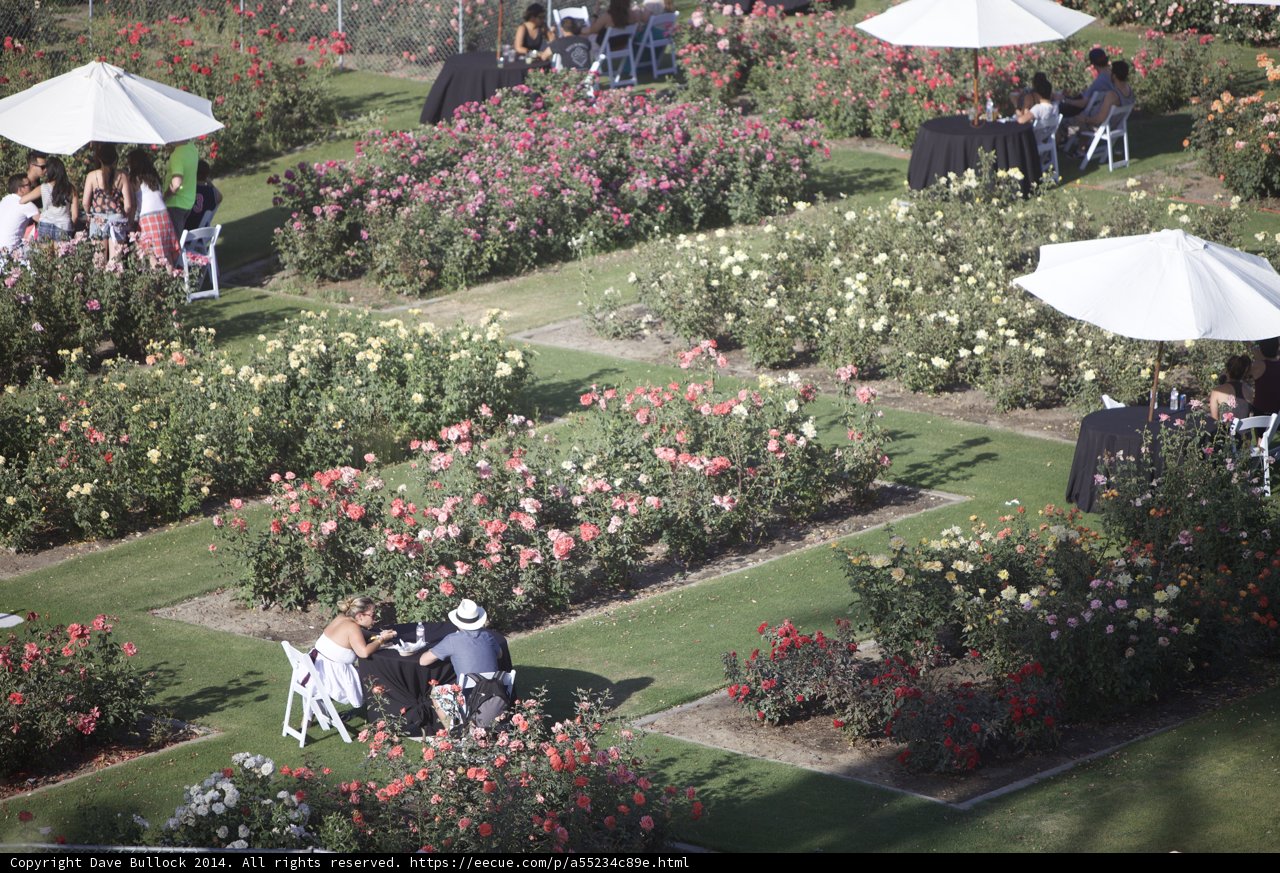 A Relaxing Day Out in the Garden