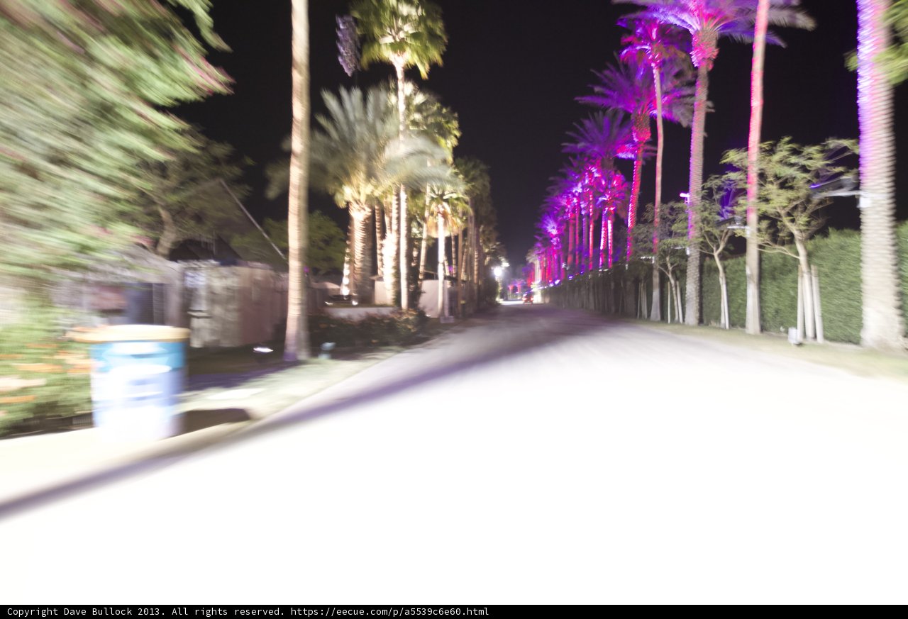 A Night Drive Through the Palm Trees