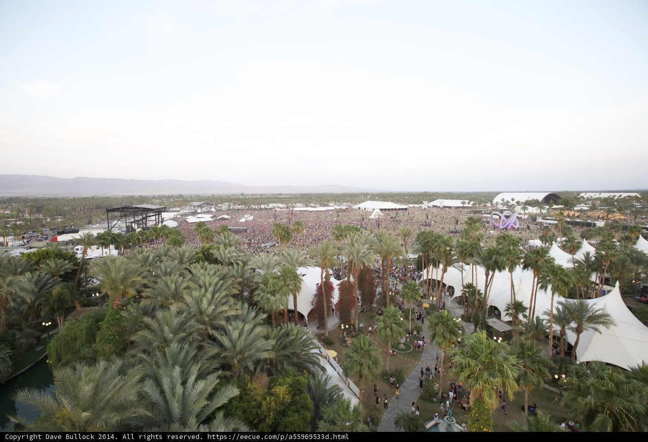 Aerial View of Palm Tree-filled Festival