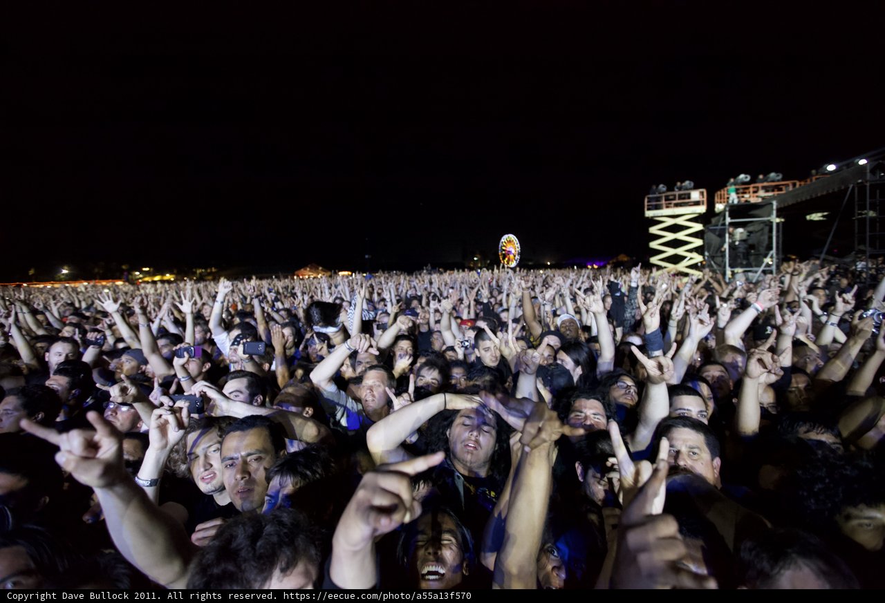 Rocking Out Under the Night Sky