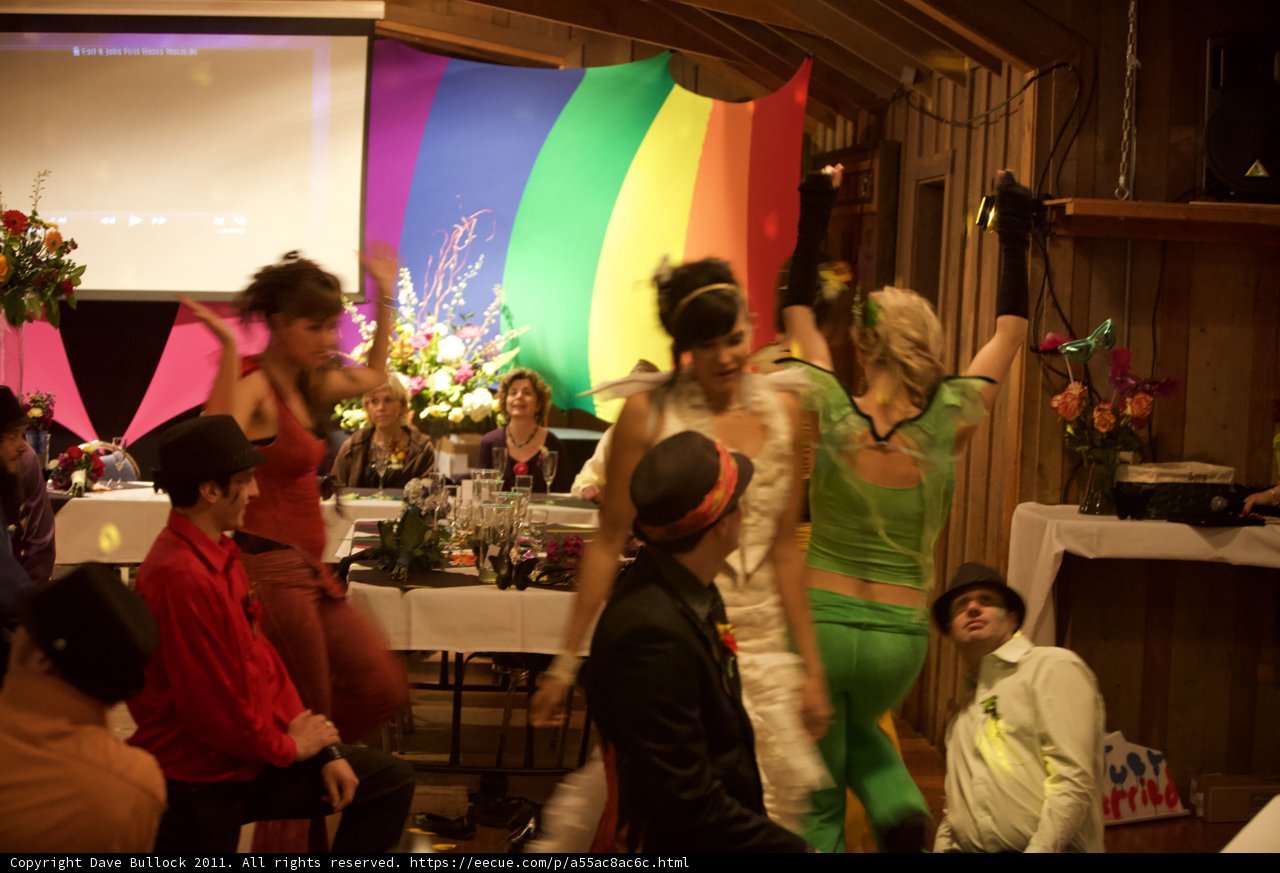 Wedding Celebration on the Dance Floor