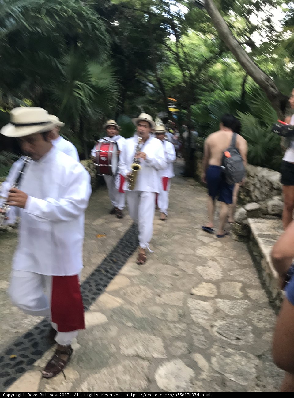Walking Through Nature