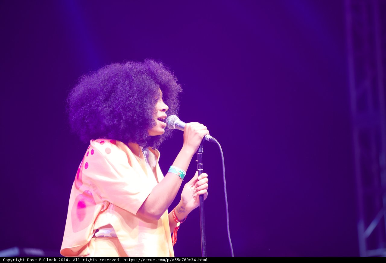 Afro-Latin Beats Take Over Coachella with Solange