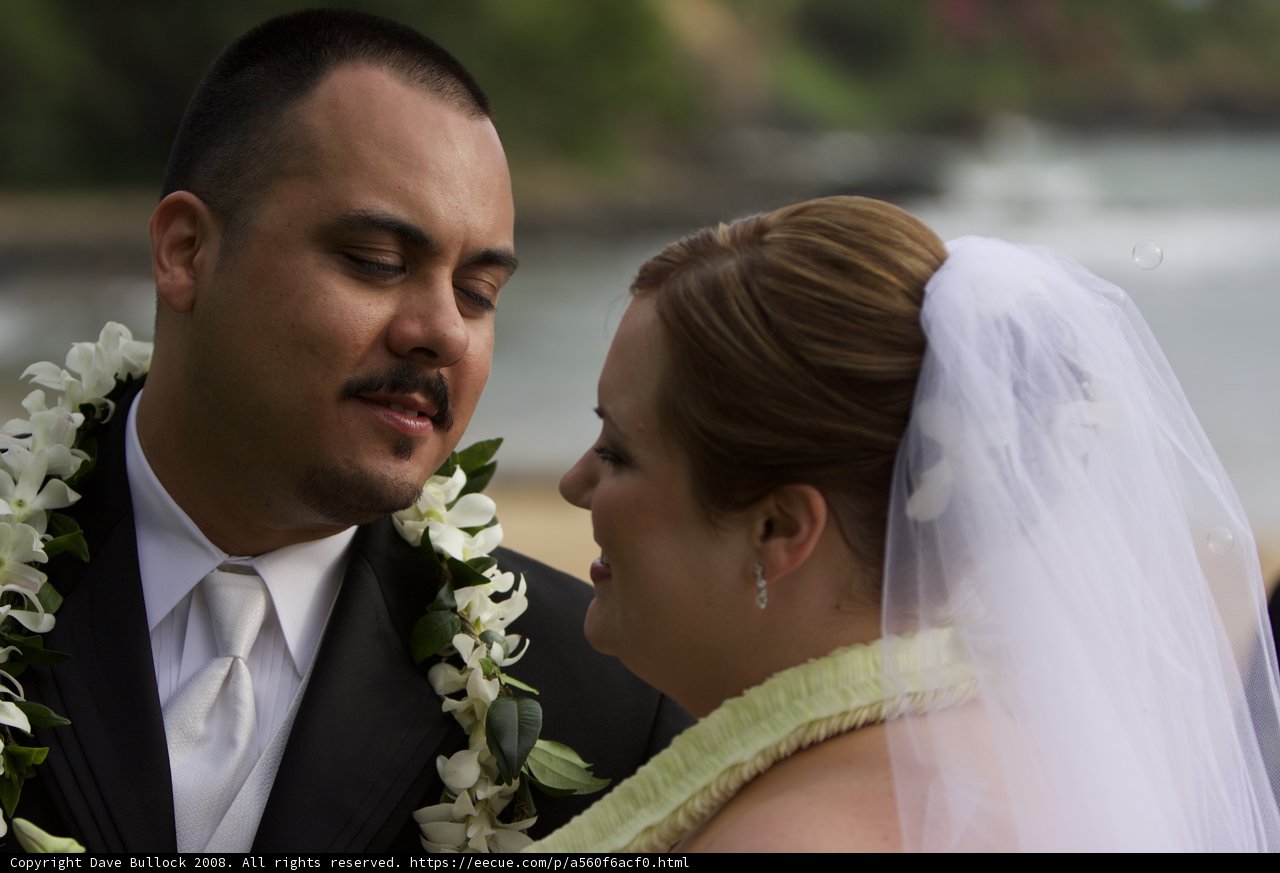 Wedding Bliss in Hawaii