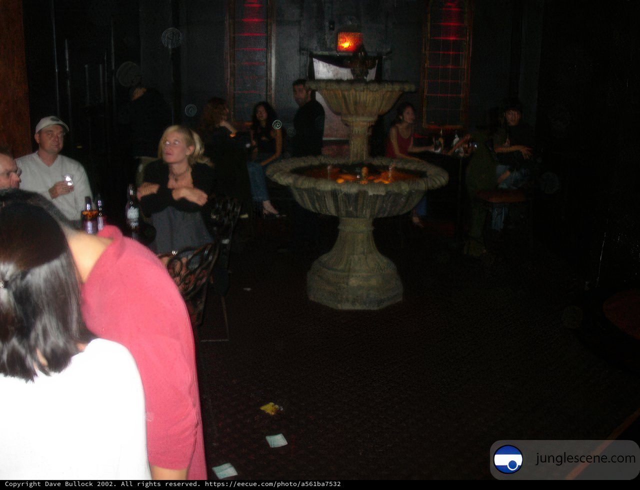 Nightclub Gathering Around the Fountain