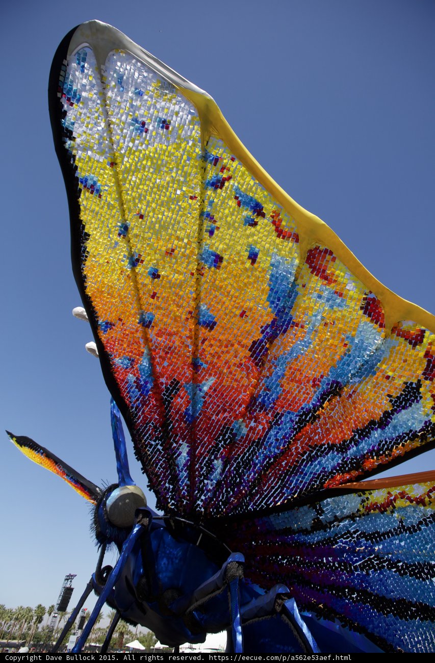 Colorful Butterfly in the Sky