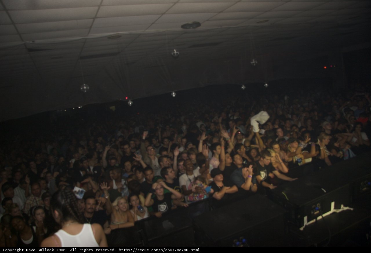 Raving with the Urban Crowd