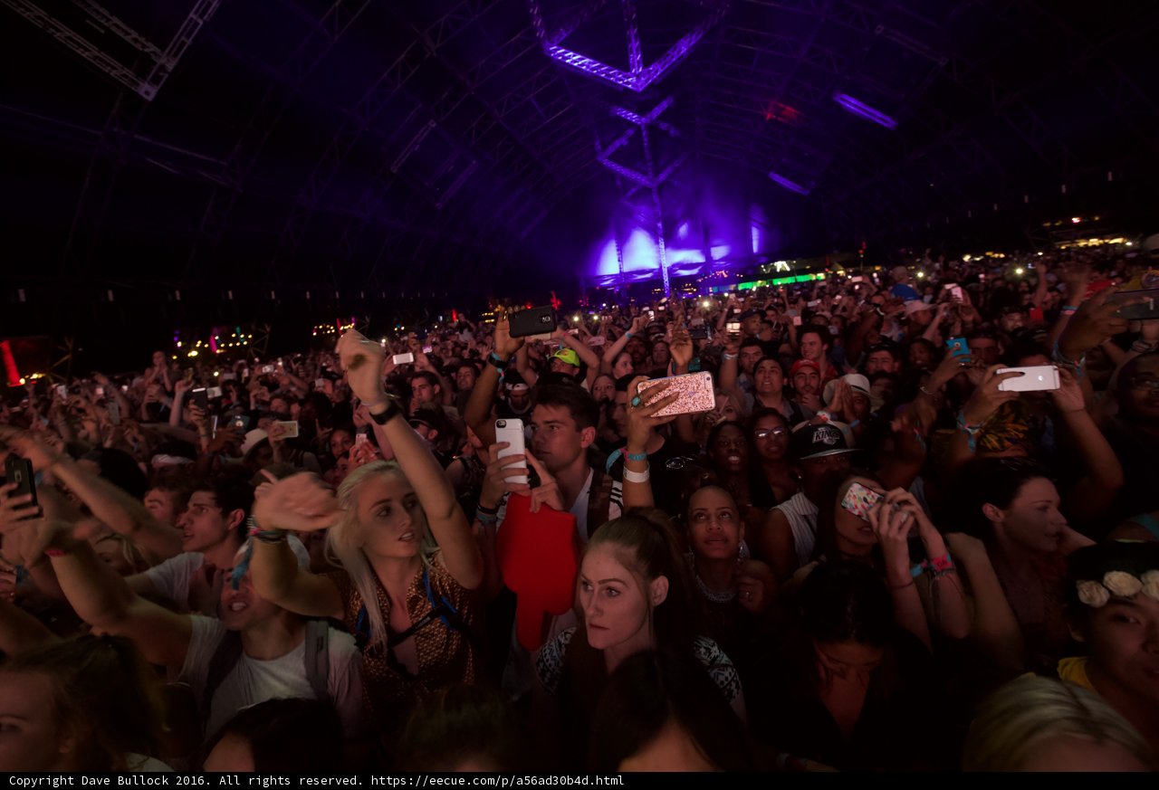 Phone Lights Up the Night at Coachella