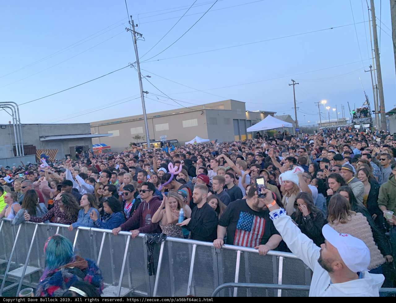 Summer Vibes: A Crowd Gathering at a Concert