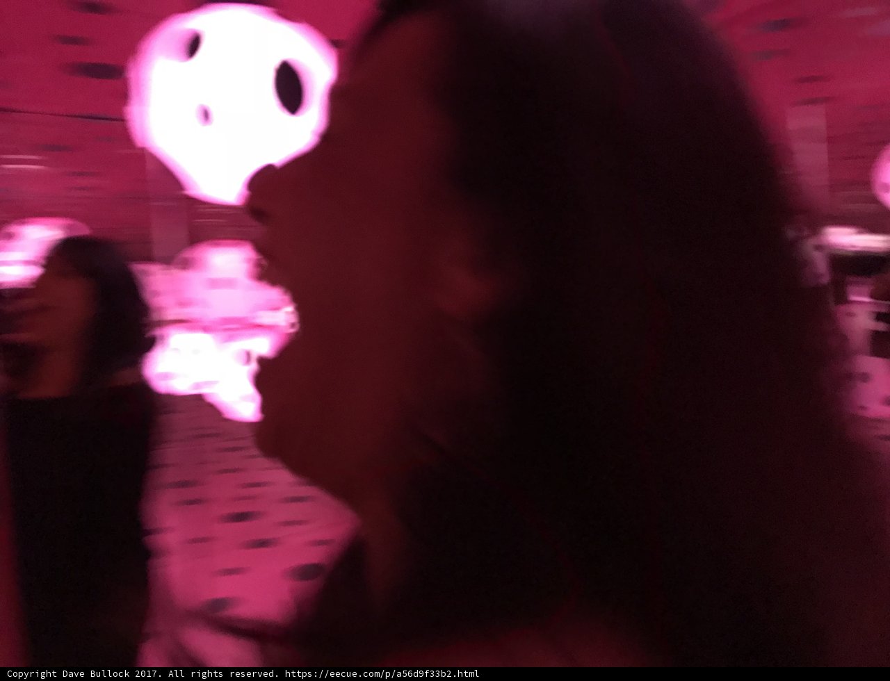 Pink Reflections