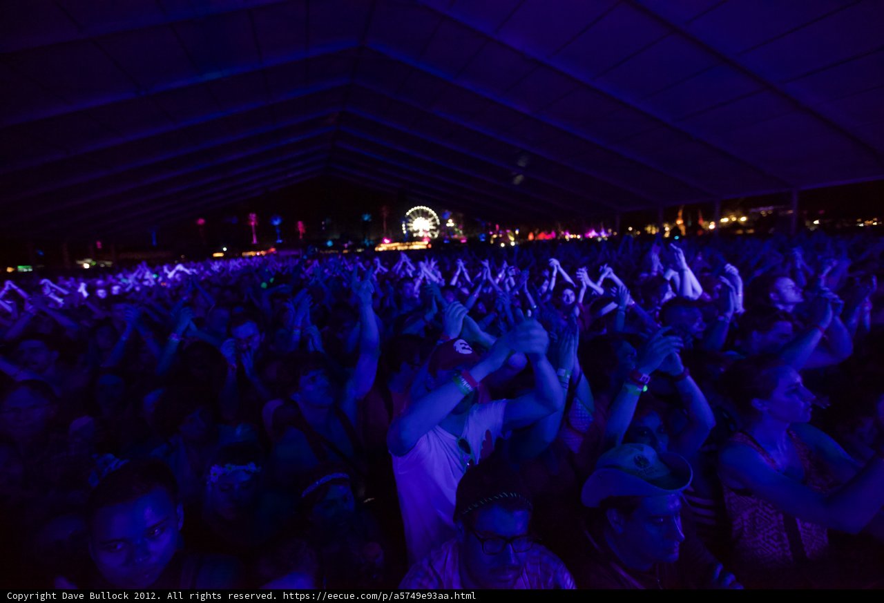 Coachella Crowd Goes Wild