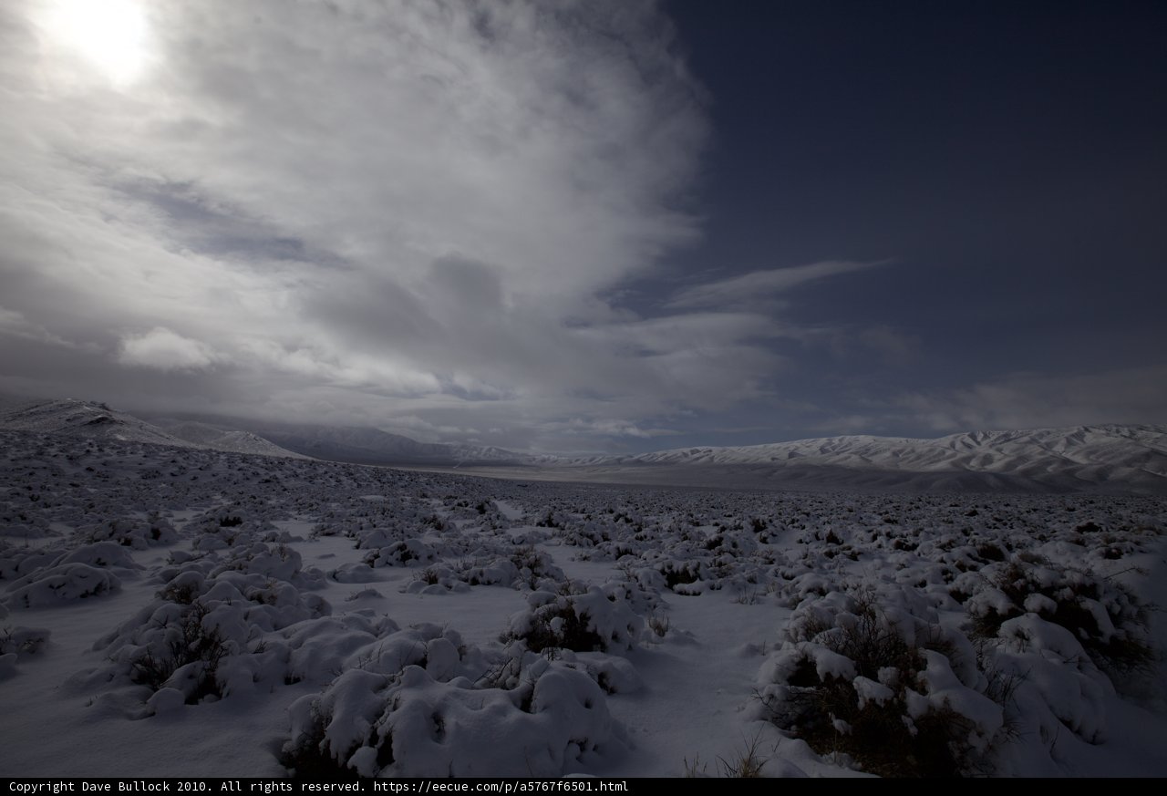 Winter Wonderland