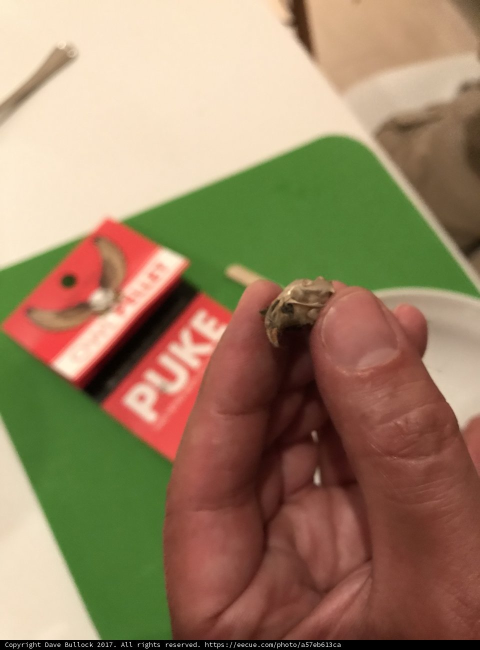 Tempting Treats