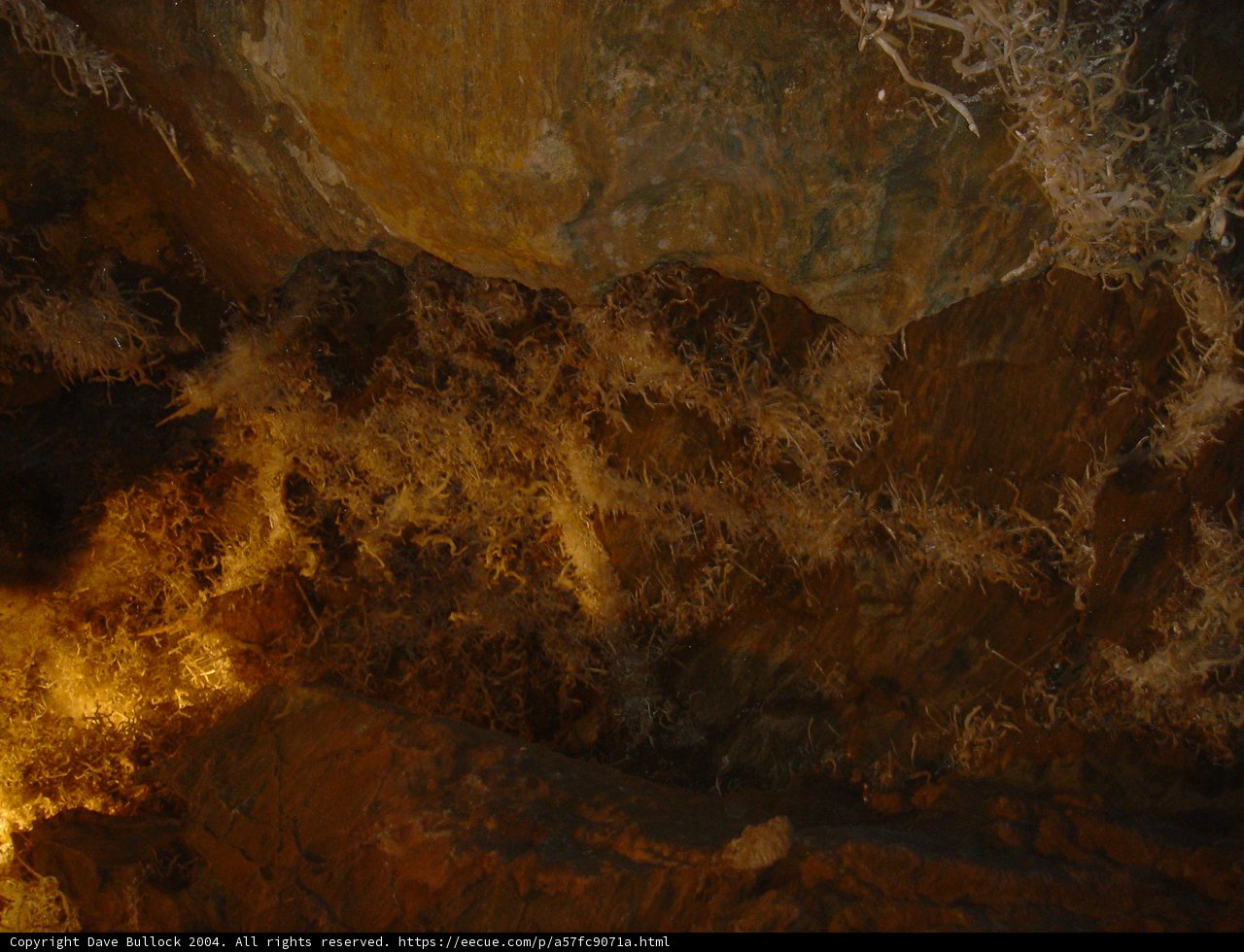 Illuminated Cave