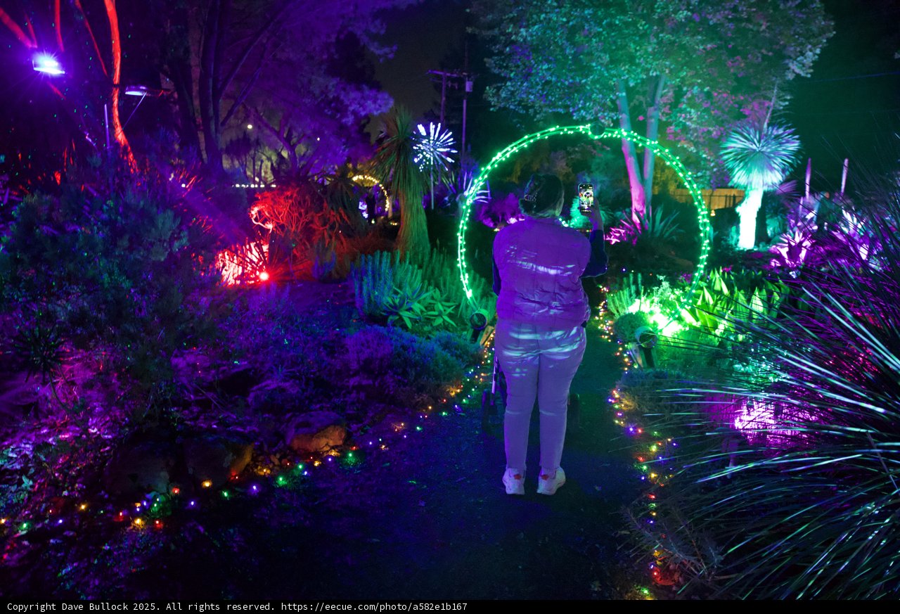 Enchanted Night in the Garden