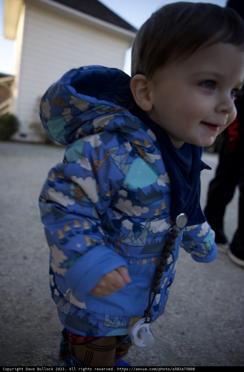 Fall Adventures in Downtown Sonoma