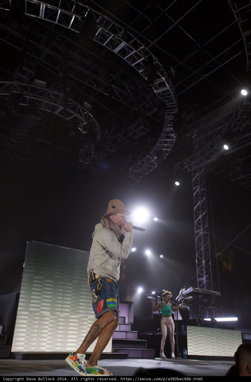 Spotlight on the Solo Performer