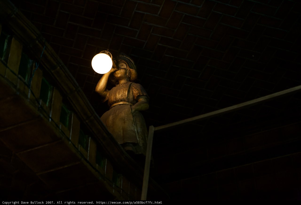 Illuminating the Night