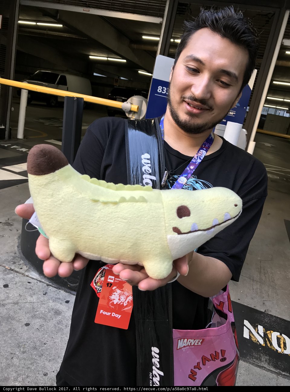 Unconventional Companion