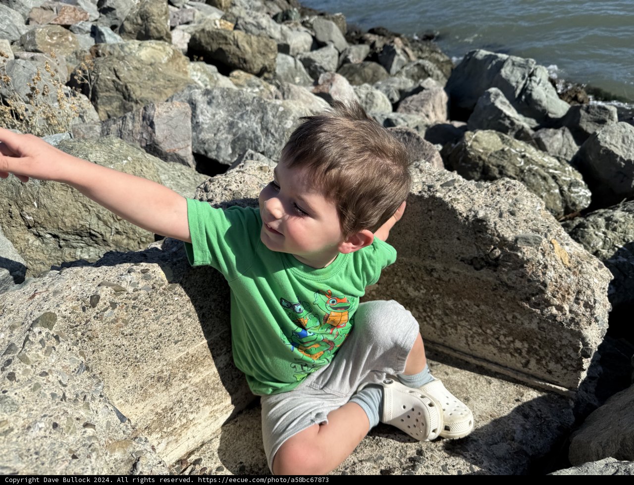 Exploring the Rocks at Shoreline Park