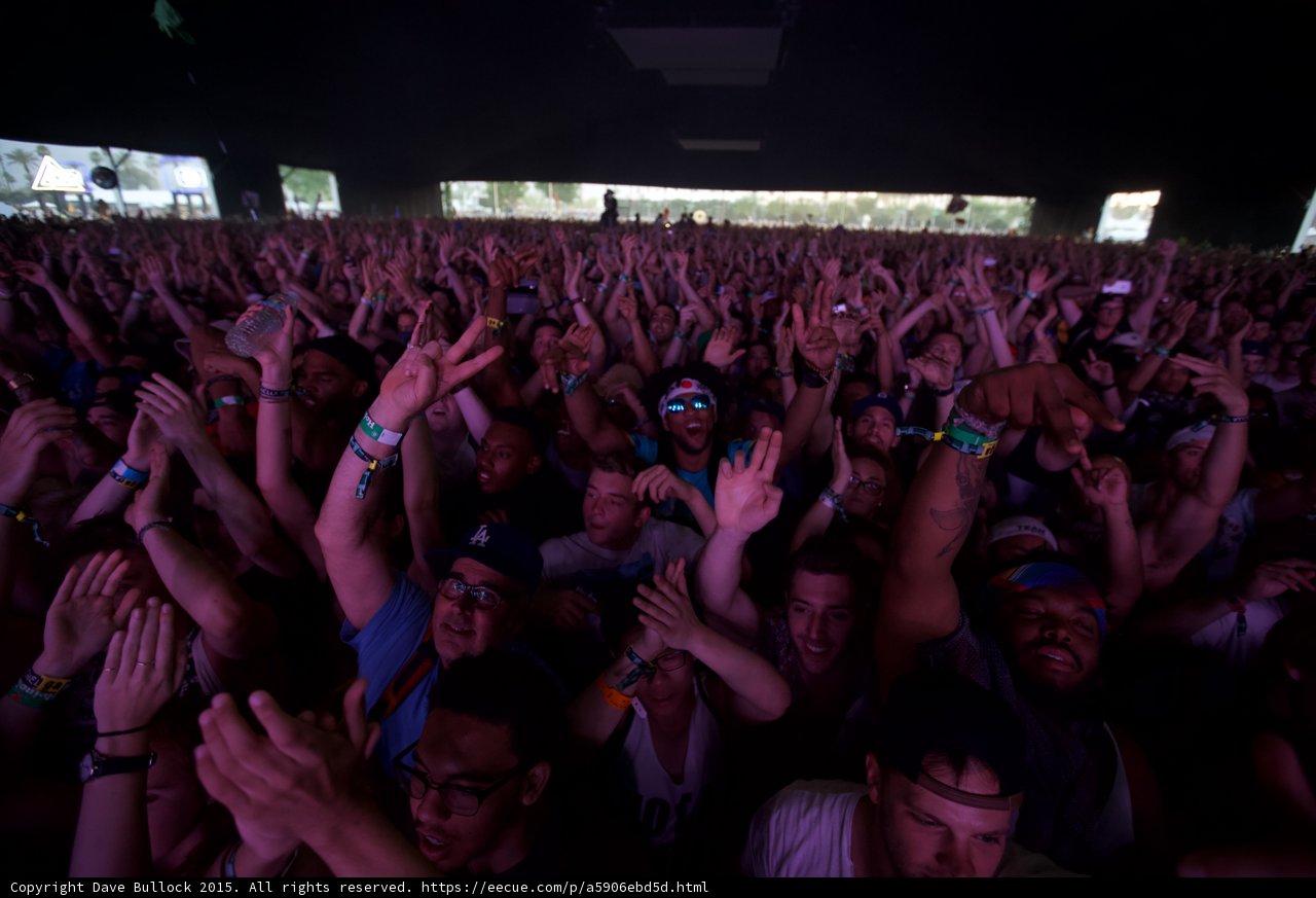 Purple Crowd Energy