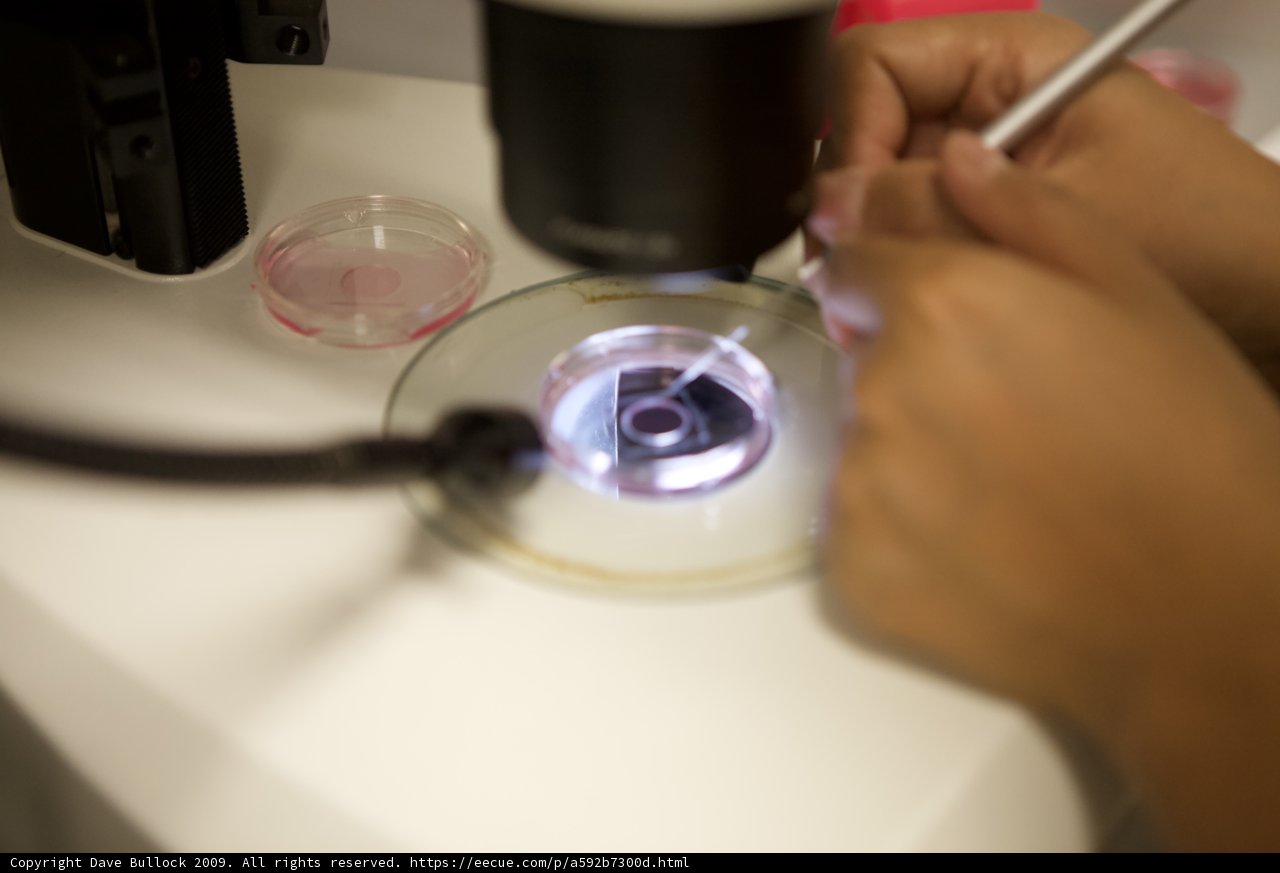 Microscopic Analysis