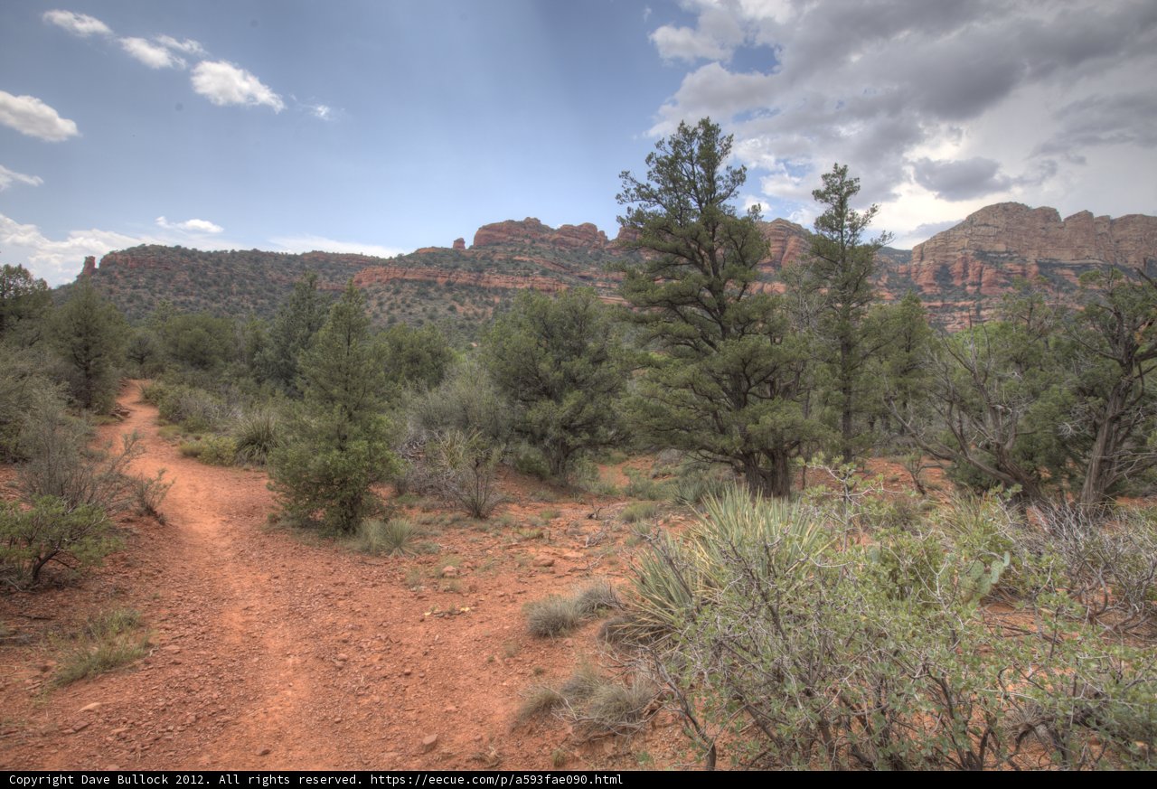 The Trail through the Wilderness