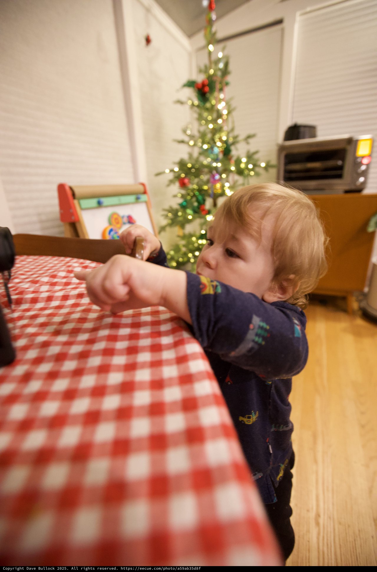Toddler Reaching Towards Christmas Tree at Home