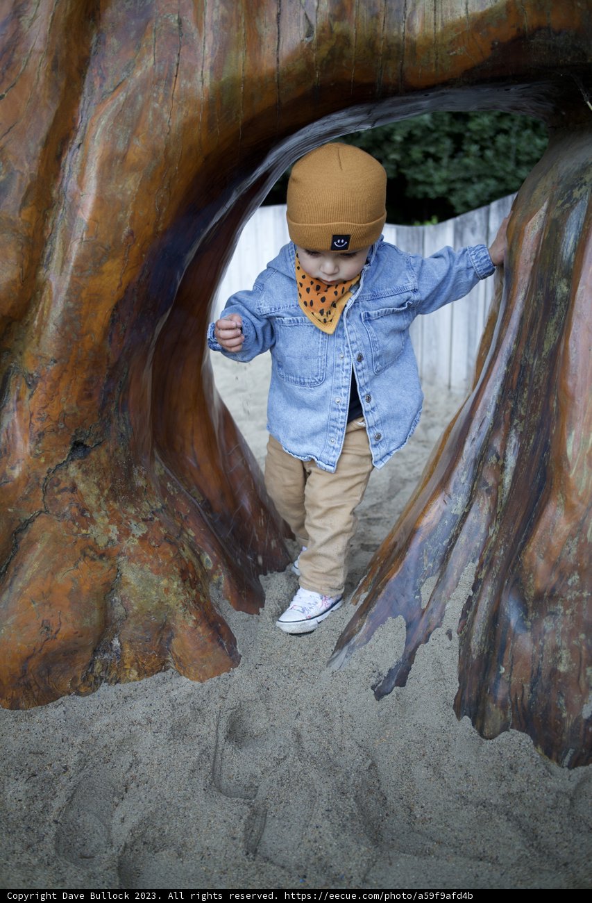 The Young Tree Climber