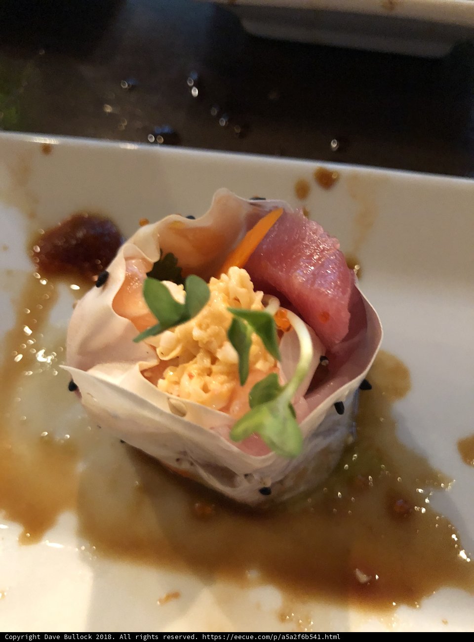 Savor the Flavor of Sushi