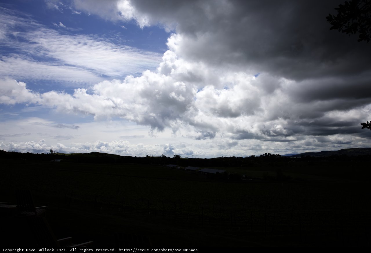 Serenity at Sonoma Vineyard