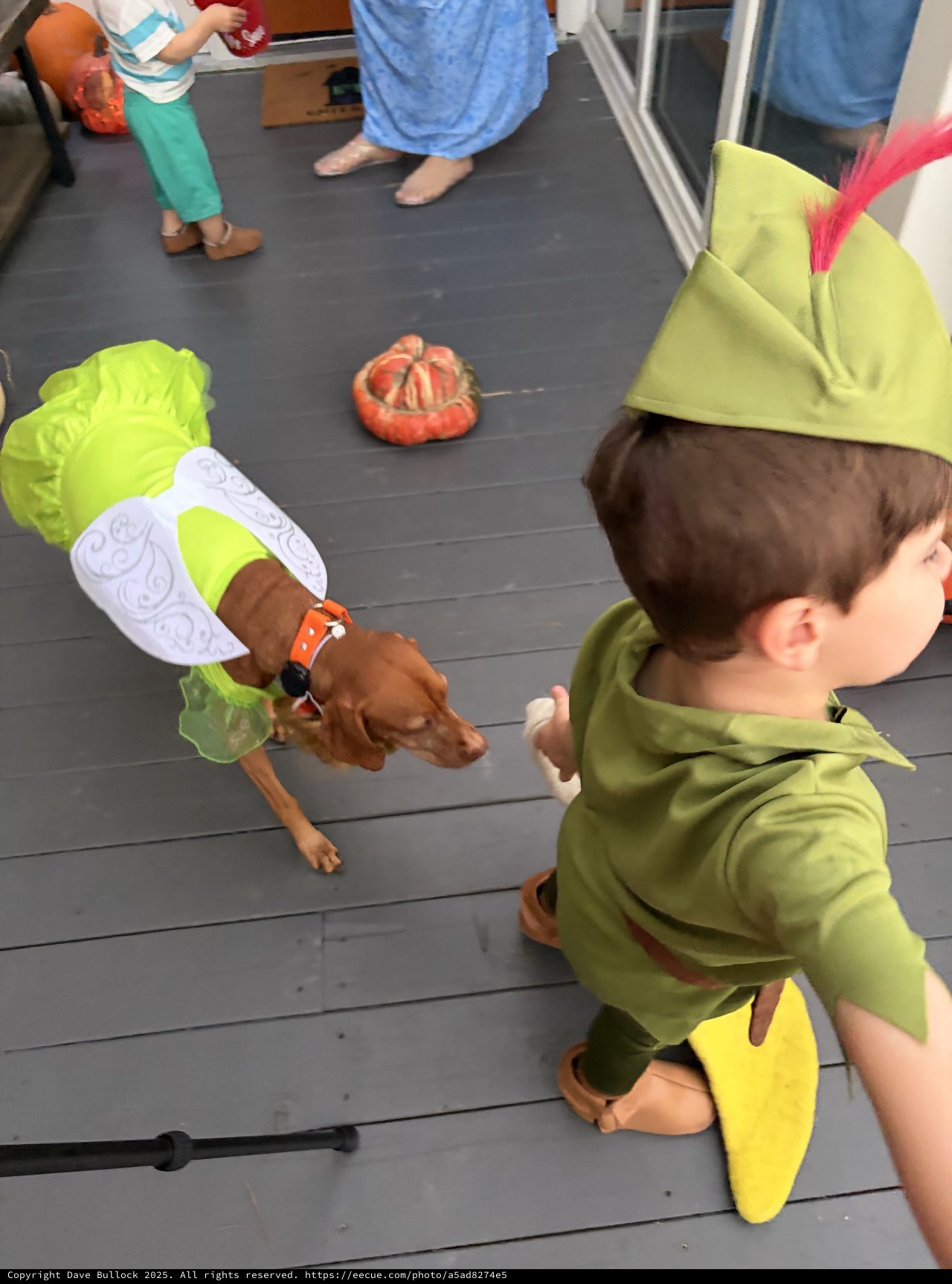 Child in Tinker Bell Costume at Halloween Gathering