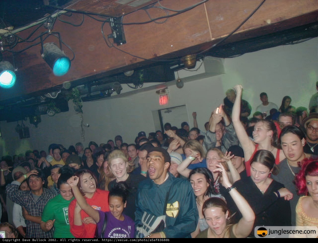 Spotlight on the Crowd