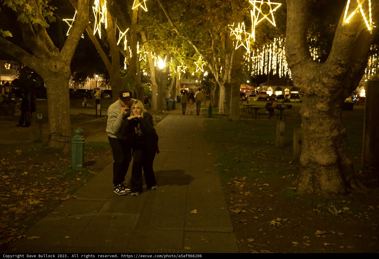 Under the Glowing Canopy