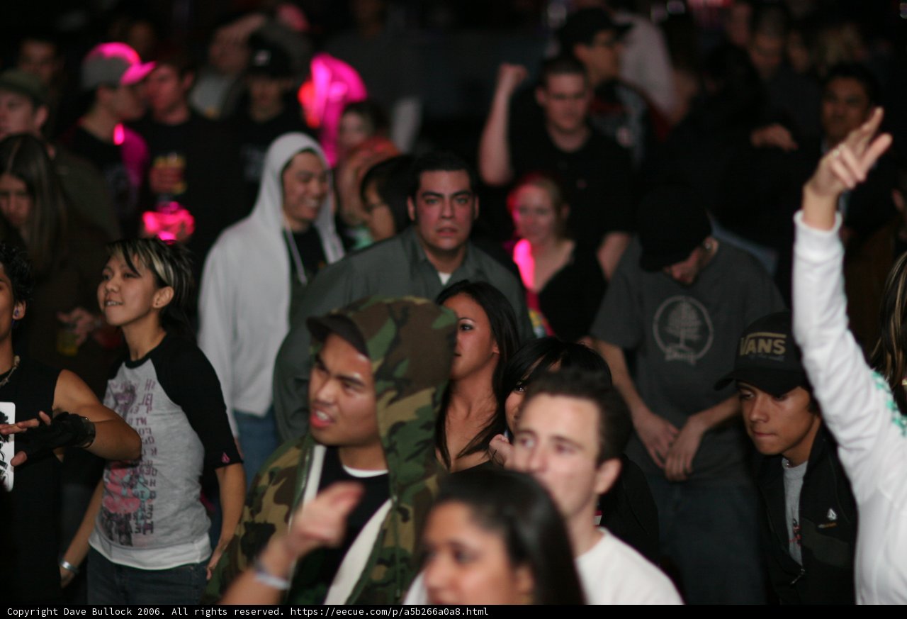 Dancing in a Sea of Urban Night Club Partygoers