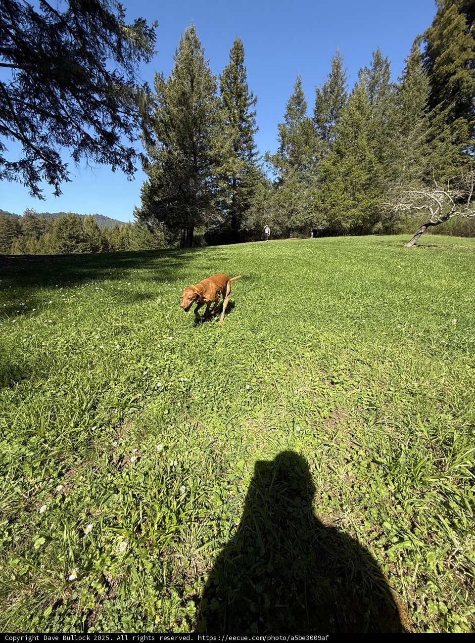 Joyful Exploration in the Countryside