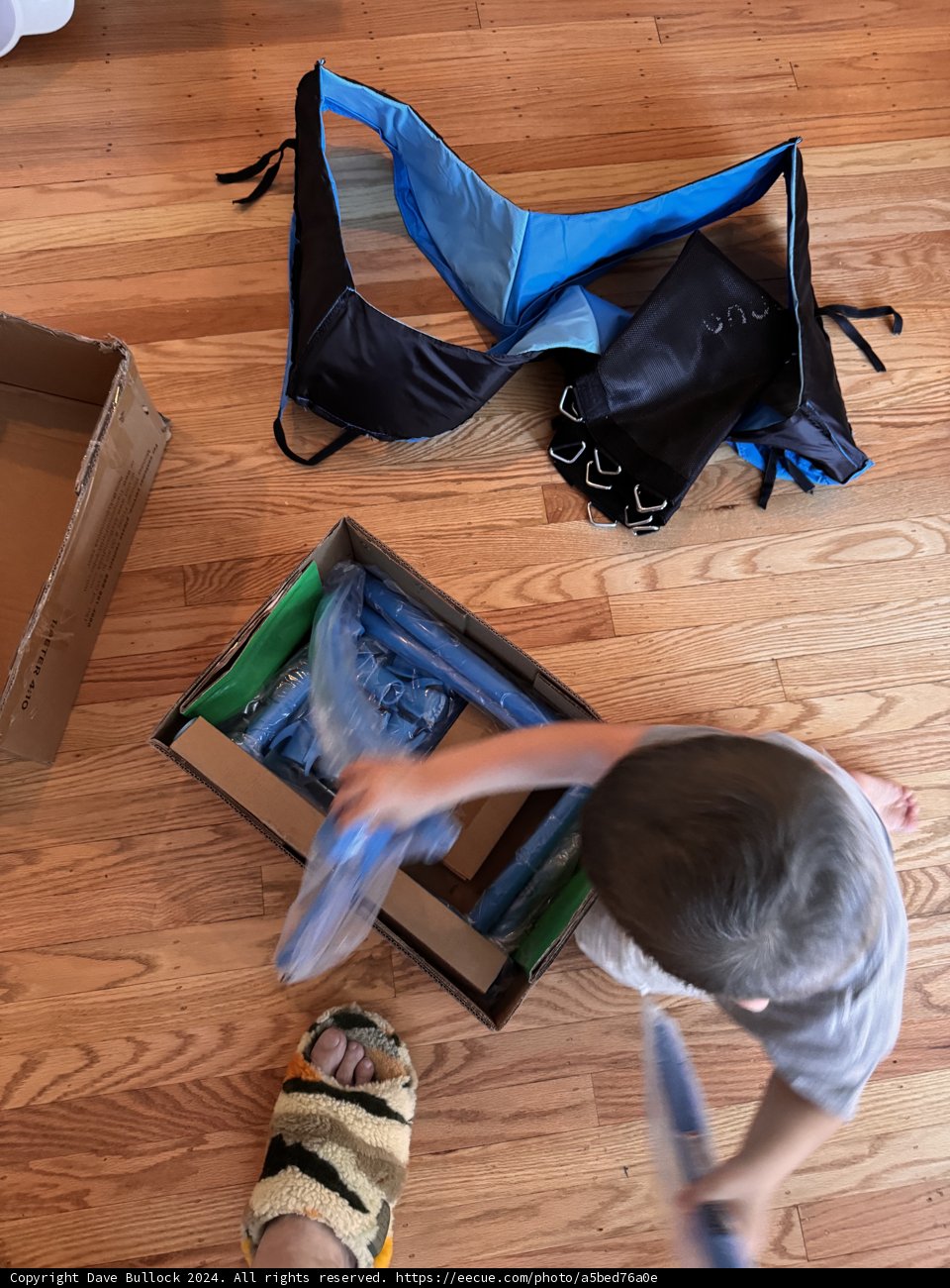 Unboxing Adventure