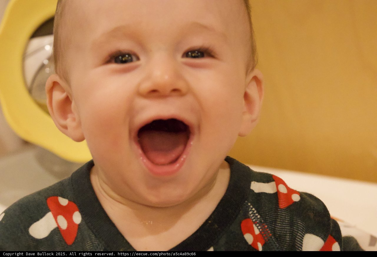 Pure Joy
