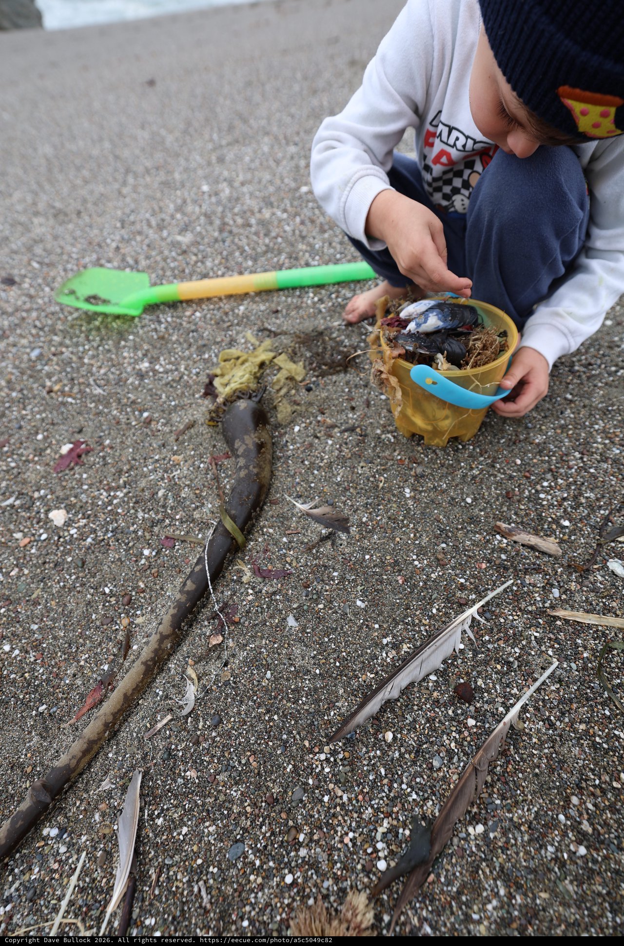 Young Explorer Collecting Beach Treasures by the Shore