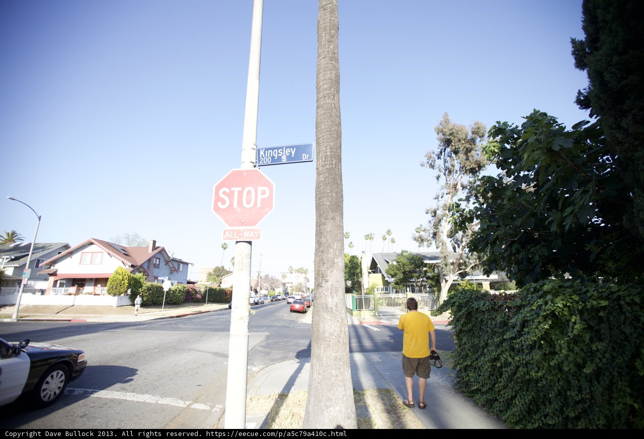 Stop and Contemplate