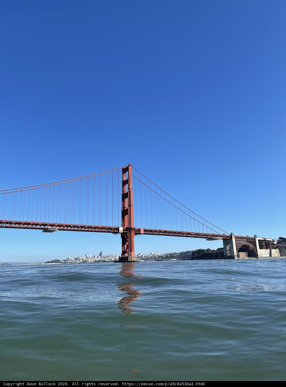 A Golden View of the Golden Gate