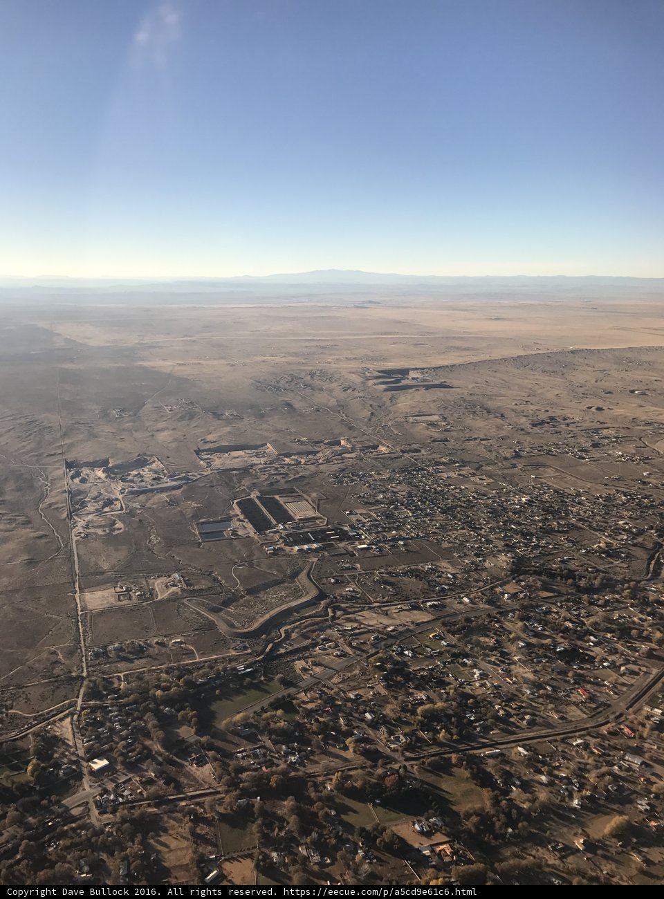 The Urban Oasis
