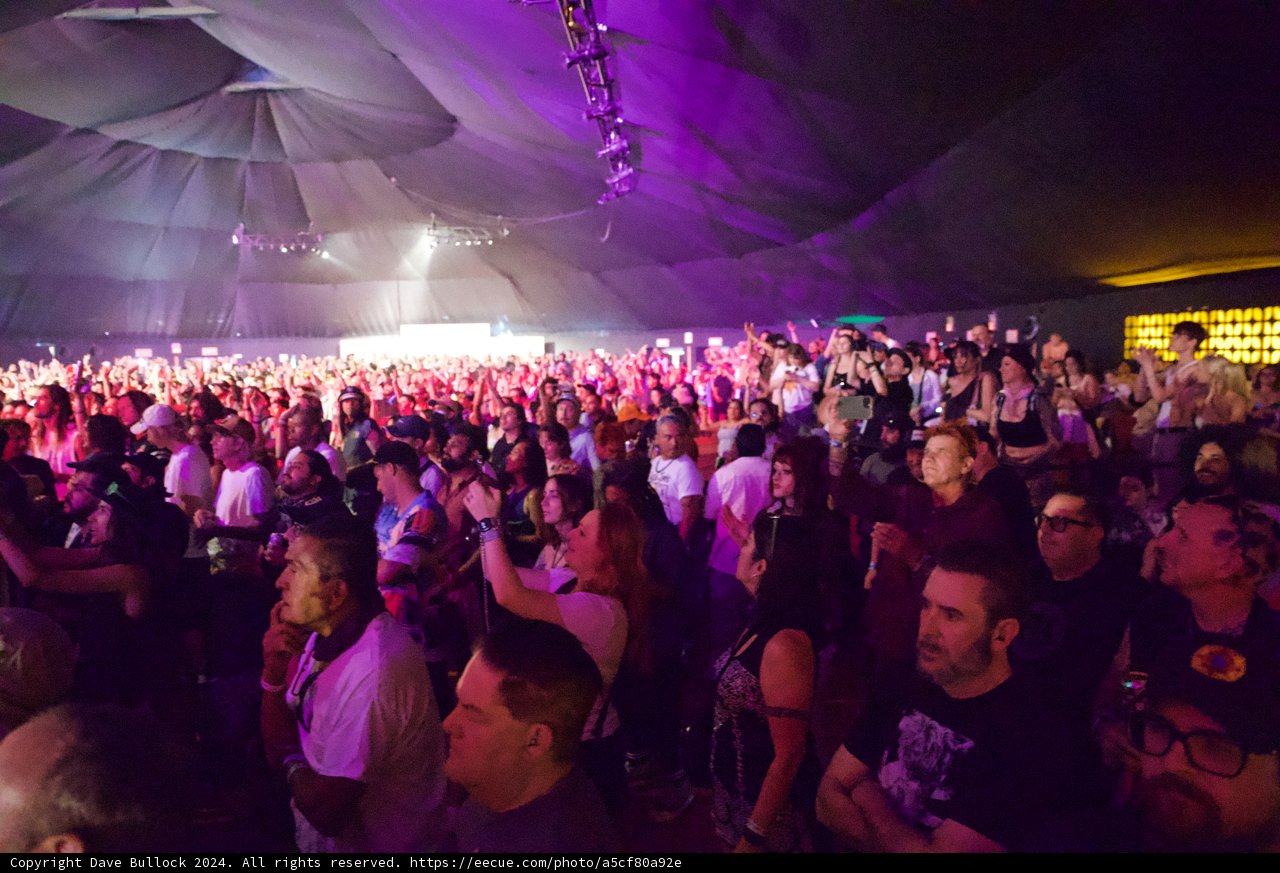 Under the Canopy: Vibrant Nights at Coachella 2024