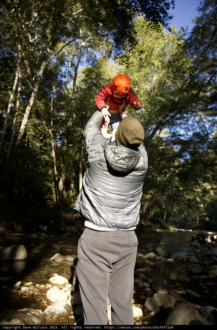 Enchanting Moments in the Wilderness