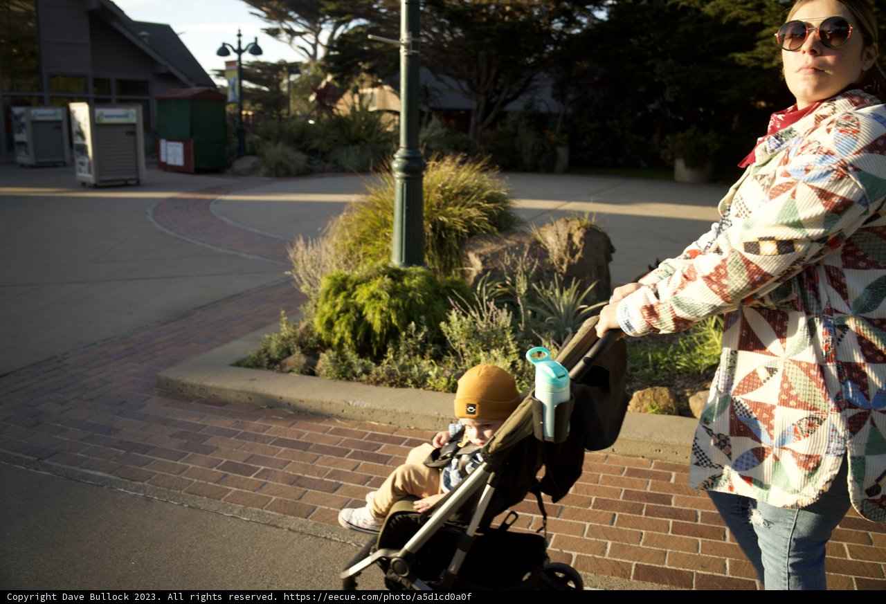 A Stroll through the City: Family Time at SF Zoo