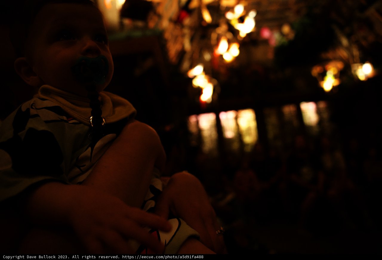 Baby Wesley's Magical Day at Disneyland
