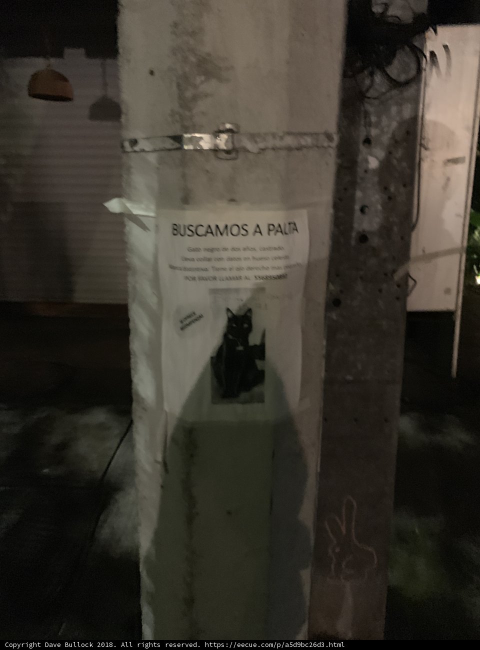 The Feline Advert