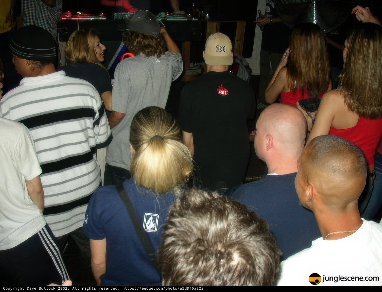Partygoers Dance and Jam to DJ's Tunes at Night Club